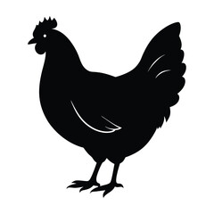 Hen on White Background Silhouette with Clean Lines