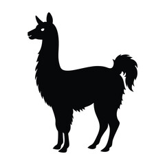 Llama Poised with Tail Raised Silhouette on White Background