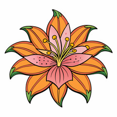 orange lily isolated on white