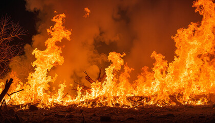 Fierce wildfire flames engulfing dry bushland at midday, environmental crisis