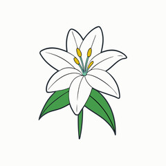 vector illustration of a flower