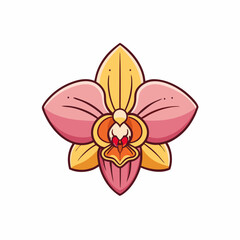orchid flower vector illustration