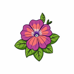 petunia flower isolated on white