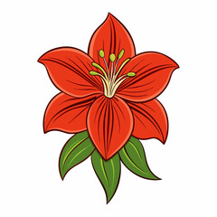 amaryllis flower on white