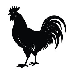 Rooster Walking Proudly with Head Held High Silhouette on White Background
