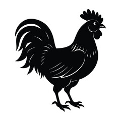 Rooster Strutting with Head Held High Silhouette on White Background