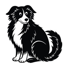 Sheepdog Sitting with Fluffy Tail Curled Around Silhouette on White Background