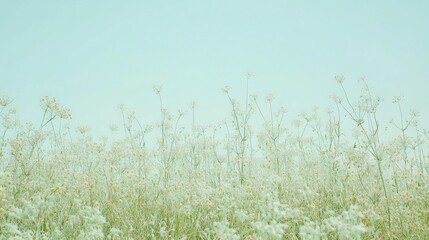 Pastel field of wildflowers, light, ethereal,  nature scene