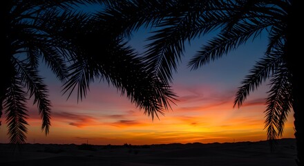 Naklejka premium Vibrant desert sunset landscape with silhouetted palm trees sky pink blue sand warm calm dark view