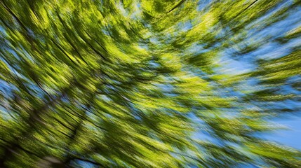 Dynamic greenery in motion forest nature photography bright sky low angle vibrant life