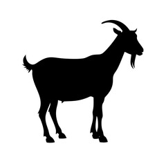 Fototapeta premium Side profile goat vector illustration with smooth shading.