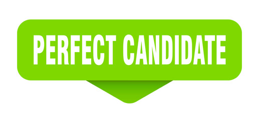 perfect candidate sticker. perfect candidate sign on transparent background