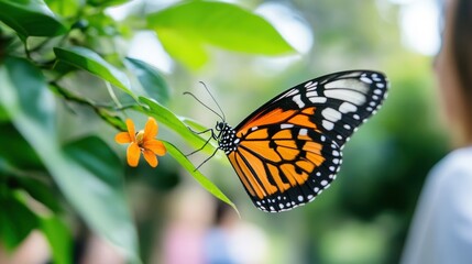 Obraz premium Woman in cafe opens laptop, stylish look. 