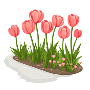 pink tulips blooming garden clip art preview