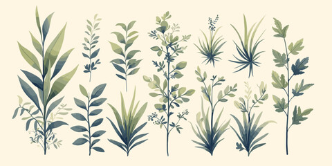 Flat botanicals vector icons set: minimalist plant and leaf collection.