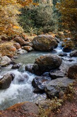 A clear stream meanders around mossy rocks and flows through a lush, colorful autumn forest.