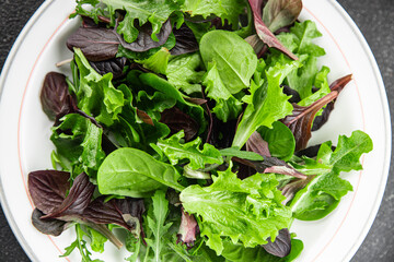 Healthy salad leaves mix salad juicy snack micro greens, arugula, lettuce, oak leaf, green leaf...