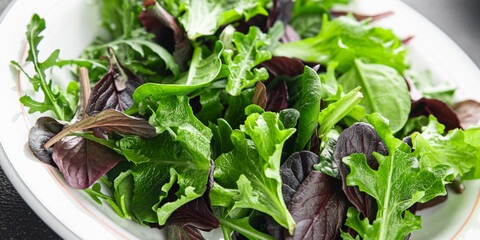 Healthy salad leaves mix salad juicy snack micro greens, arugula, lettuce, oak leaf, green leaf...