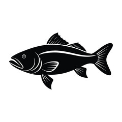 Barramundi Outline Silhouette With Strong Streamlined Body On White Background