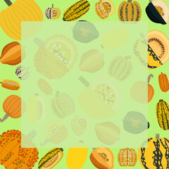 Square banner with types of winter squash. Cucurbita pepo. Cucurbitaceae. Fruits and vegetables. Isolated vector illustration. Template. Flat style.