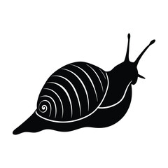 Cone Snail Silhouette Crawling With Slightly Raised Shell On White Background