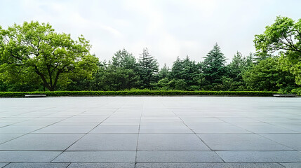 Empty Wet Parking Lot With Green Trees And Overcast Sky Perfect Background For Product Placement