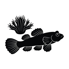 Goby Fish Outline Silhouette With Translucent Fins Spread Near Coral On White Background