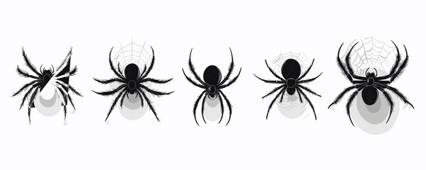 Flat linear spider icons set - five unique black arachnid designs with web details.