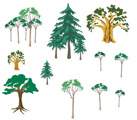 Vaious kind of Tree Vector Illustration set