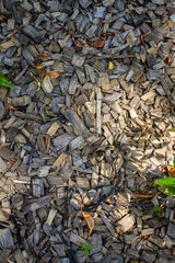 Wooden chip mulch ground's fragment. A textured background of wooden chips commonly used in mulching for landscaping and gardening