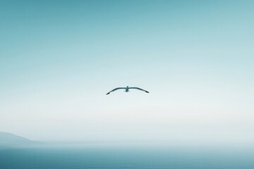 Obraz premium lone seagull gracefully gliding across clear blue sky wings outstretched against vast expanse evoking serenity while