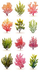 Colorful Coral Reef Plants Illustration.