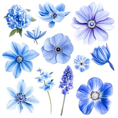 Fototapeta premium Serene Blue Flower Arrangement Peaceful Blooms Delightful Display