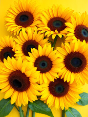 Fototapeta premium Beautiful sunflowers on yellow background wot space for your text. Floral background, autumn or summer concept