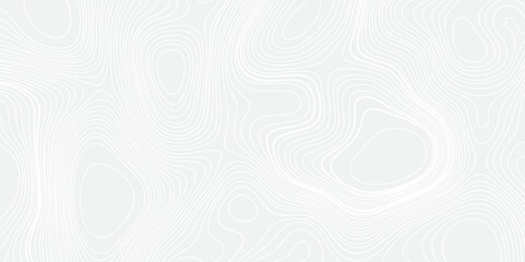 High-Precision Seamless Topographic Mapping with Elevation Details and Geographic Relief for Professional and Enthusiast Use
