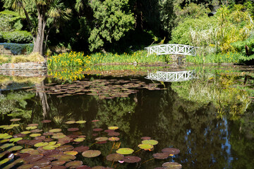 family exploring nature and a mother daughter in botanical garden playing