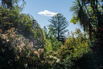 family exploring nature and a mother daughter in botanical garden playing