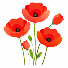 Obraz premium Vibrant Red and Orange Poppies in a Delicate Botanical Close-Up.