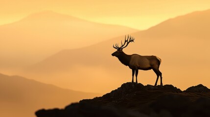 Majestic elk in sunset silhouette mountain range wildlife natural environment side view serenity solitude