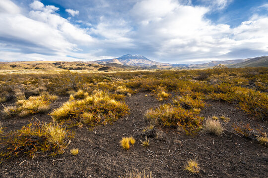 Tromen volcano emerging from the patagonia steppe