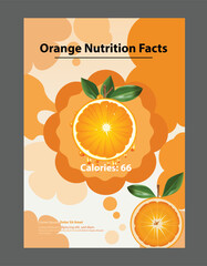 Orange fruit flyer background layout design vector on colorful background