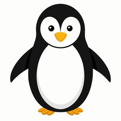 penguin on a white background