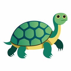 cute turtle