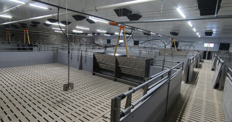 Pens for breeding piglets on a pig farm. Pigsty, pig breeding.