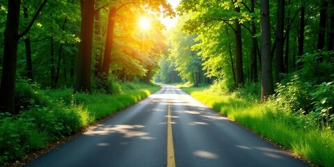 Obraz premium Sunlit Asphalt Path Through Verdant Forest Canopy on a Peaceful Summer Morning