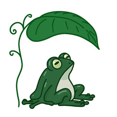 Frog Sheltering Under a Leaf | Cute Green Frog Illustration