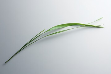 Three green blades of grass are presented on a neutral background