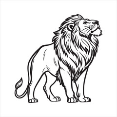 Obraz premium lion vector illustration