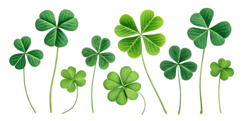 collection set of green lucky clover and shamrock