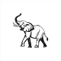 vector illustration of an elephant